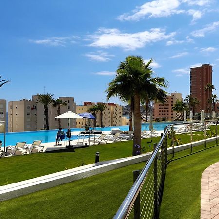 Sunset Cliffs Sea View Apartments 14 Floor 貝尼多姆 外观 照片
